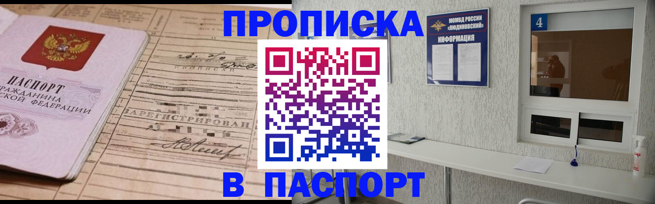 временная регистрация в Кингисеппе